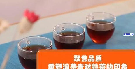 探究澜沧古茶班章的价格、品质、口感以及购买途径，助您全面了解这款茶叶