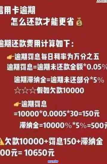 信用卡逾期利息金额计算