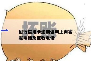 上海银行招商信用卡小额逾期解决方案及相关疑问解答