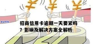 招商银行信用卡逾期解决方案：了解详细步骤、影响与应对策略