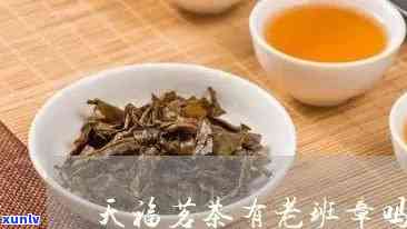 天福茗茶老班章1400克：品质、产地、冲泡 *** 与口感全面解析