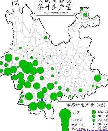 云南普洱产区：从茶叶种植到品鉴的全方位指南