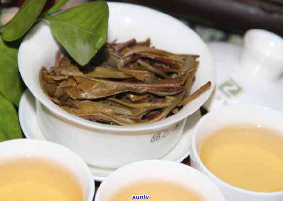 2020年老班章普洱茶价格走势分析：古树茶与格表茶的最新市场价