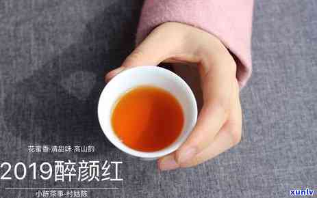 班章特色普洱红茶：京东精选，独特风味，详实图片，超值价格