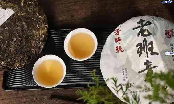 9.9包邮的老班章：优质茶叶限时特，品味纯正老班章，享受茶道人生