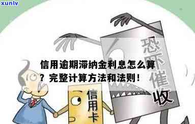 福州信用卡逾期处理费用详细算法：如何计算逾期利息和滞纳金？