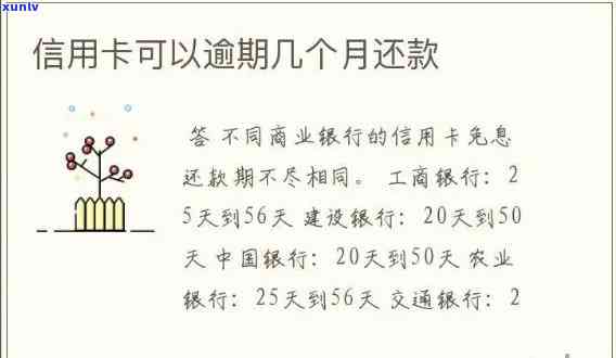 普洱茶招商加盟方案：一站式解答关于投资、利润、市场、培训等您的所有疑问