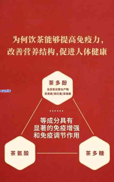 老班章茶的健益处：改善消化、增强免疫力以及降低患病风险的综合探讨