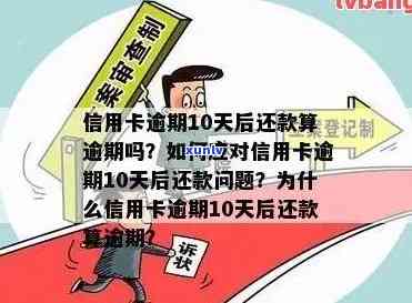 信用卡逾期10万长达1年：解决 *** 、影响与如何规划还款策略