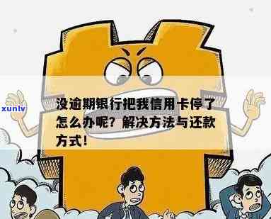 '信用卡没逾期被停用怎么办' - 解决还款问题