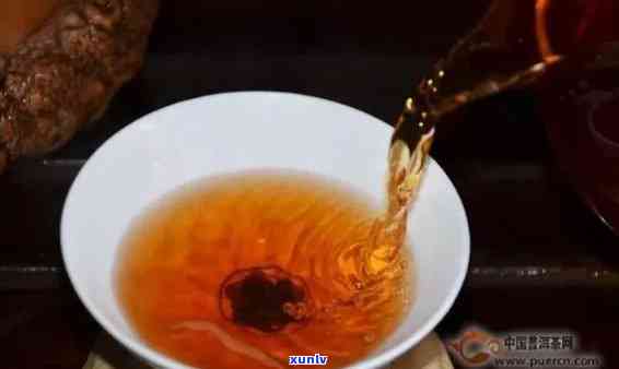 探索适合泡普洱茶的理想壶具：紫砂、铁质与玻璃材质的综合分析