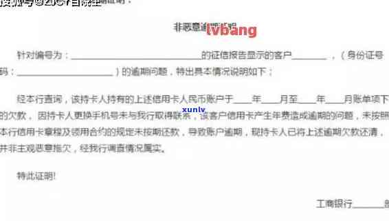 信用卡逾期状况说明及应对策略：个人信用证明撰写指南