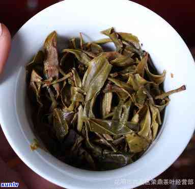 老班章生态茶2014价格及与古树茶区别，了解高级板面的意义