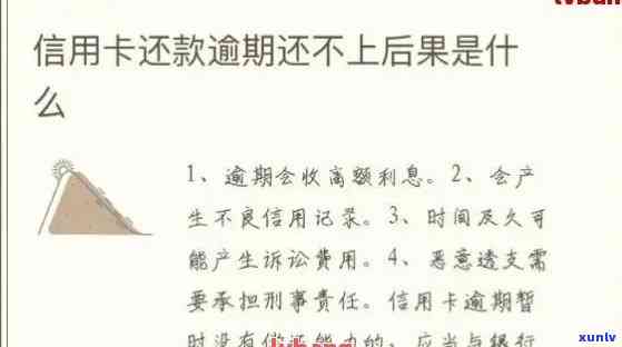 翡翠耳环中的蛋面设计：详细解读与选购指南