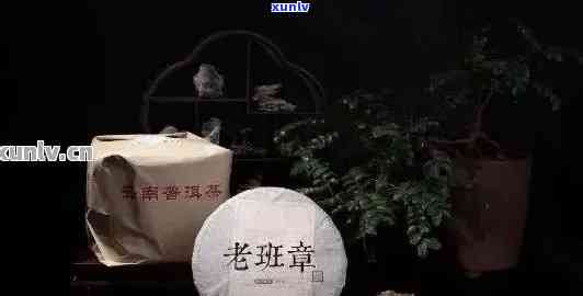 老班章白茶的独特魅力：一款不容错过的保健茶饮