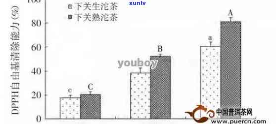 普洱茶的健益处与潜在风险：一份详尽的分析报告