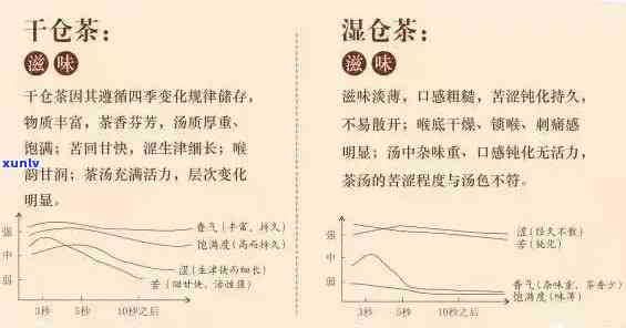 普洱茶干仓与湿仓：一场茶叶存的对比探索