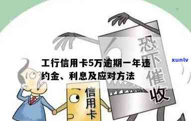 翡翠摆件玉马购买指南：品质鉴别、保养维护、搭配技巧一应俱全