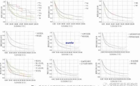 阿拉善玛瑙石资源开发与利用现状研究：以左旗为例