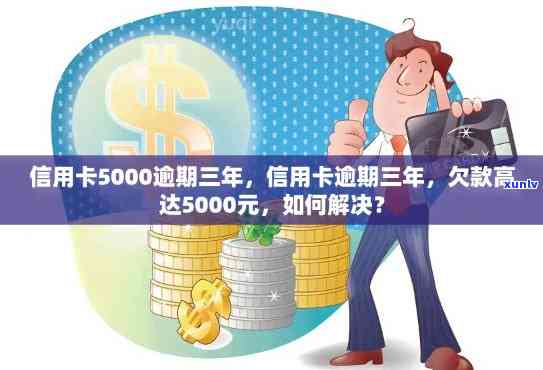 信用卡逾期5000元：解决策略、影响与建议，全方位帮助您应对