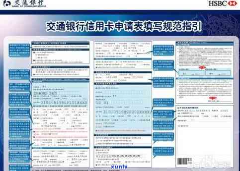 申请信用卡的全流程指南：单位名称填写要求与常见问题解答