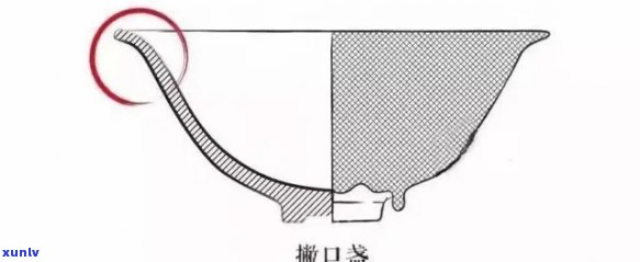 普洱杯与撇口杯的区别：外观、形状、用途等方面的差异。