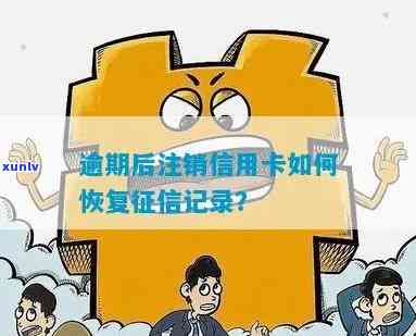 逾期后信用卡被注销恢复及明细查询处理办法