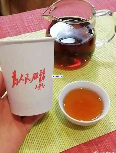 大益普洱茶7592品鉴：一款值得一试的新茶体验