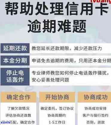 全面了解贵州威宁玛瑙价格、品质及购买渠道，助您轻松选购优质玛瑙