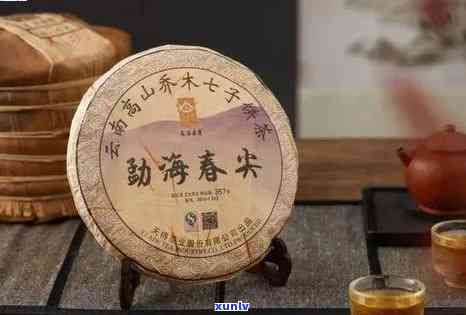 国艳普洱茶：十大茶厂之一吗？还有哪些值得关注的？