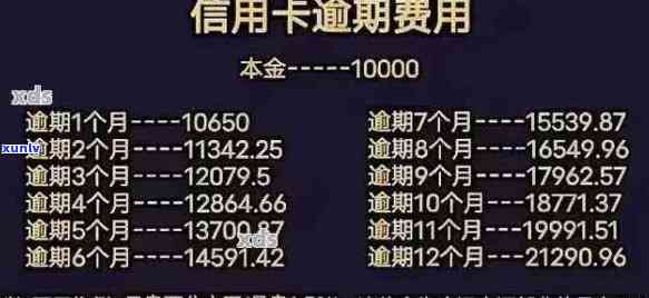 信用卡逾期多久会被取消记录？新政策解读与影响分析