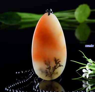 黄龙玉水草：一种珍稀植物的生态特征、养护 *** 与用途探究