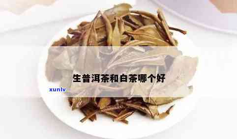 小青桔普洱茶能喝吗：女生，好处，好喝吗？百度百科。