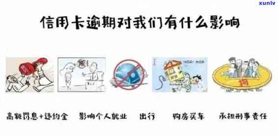 银川信用卡逾期问题解析：掌握正确处理策略，重塑良好信用记录