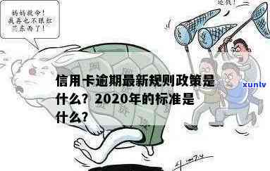 2020年信用卡还款政策解读：逾期还款规定与信用评估标准