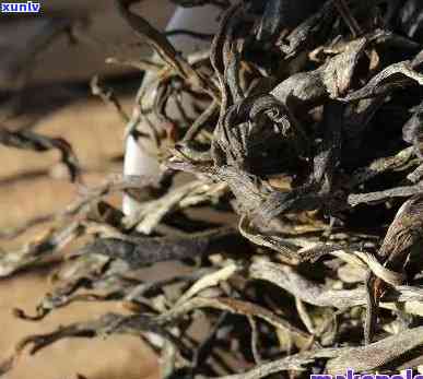 单株生普洱茶的功效与流行年份：探索普洱茶的独特魅力