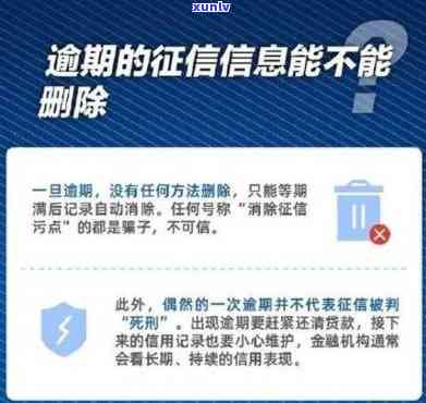 信用卡逾期还款是否会导致房产查封？