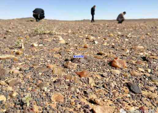 寻找阿拉善玛瑙滩：地理位置、旅游指南、交通和住宿信息全解析