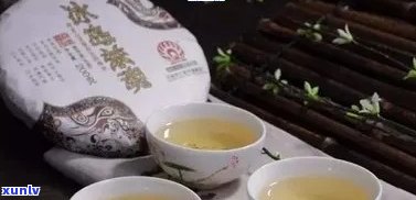 冰岛老班章普洱茶：纯净口感与独特风味的完美结合