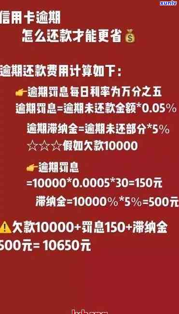 信用卡逾期导致透支利息飙升，如何应对过高的费用？