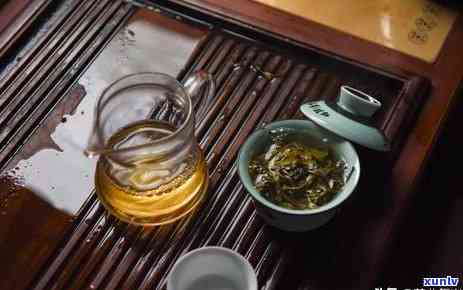 老班章泡茶的艺术：时间、水质、度与品茗体验的完美结合