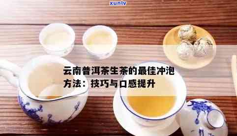 普洱茶冲泡技巧：生茶水控制与口感影响探究