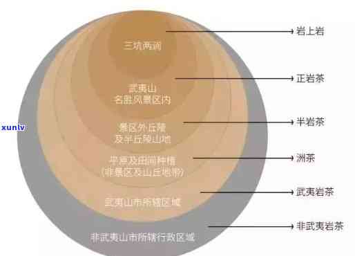 武夷岩茶中的三峰肉：独特的香醇口感与风味特征