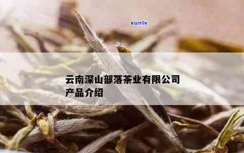 云南深山部落茶业官网 *** 信息及地址