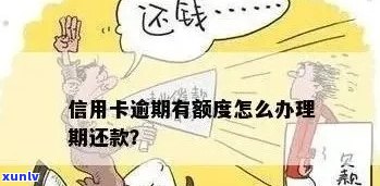 信用卡逾期还款，能否申请贷款？了解详细流程和条件！