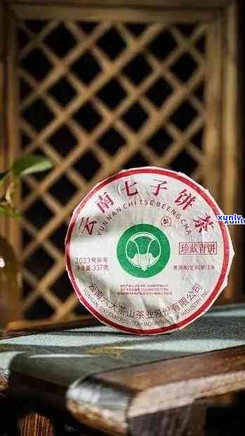 班章大益普洱茶：大白菜的越品质