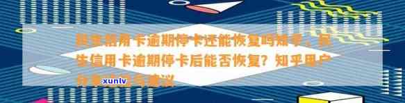 '民生信用卡停卡恢复全流程：技巧、通知与时间参考'