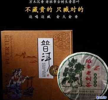 百年老班章2007生茶500g:品鉴与收藏指南