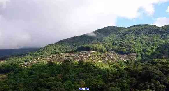 普洱道士山价格：全面查询与比较