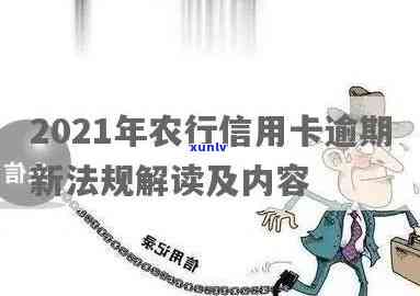 农行信用卡逾期网点责任大吗？怎么办？2021年新法规解析